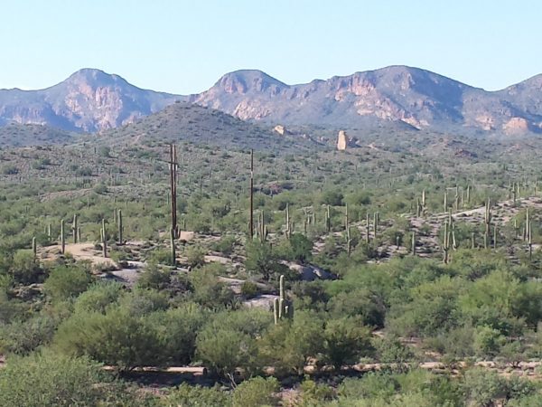 Our Beautiful Desert